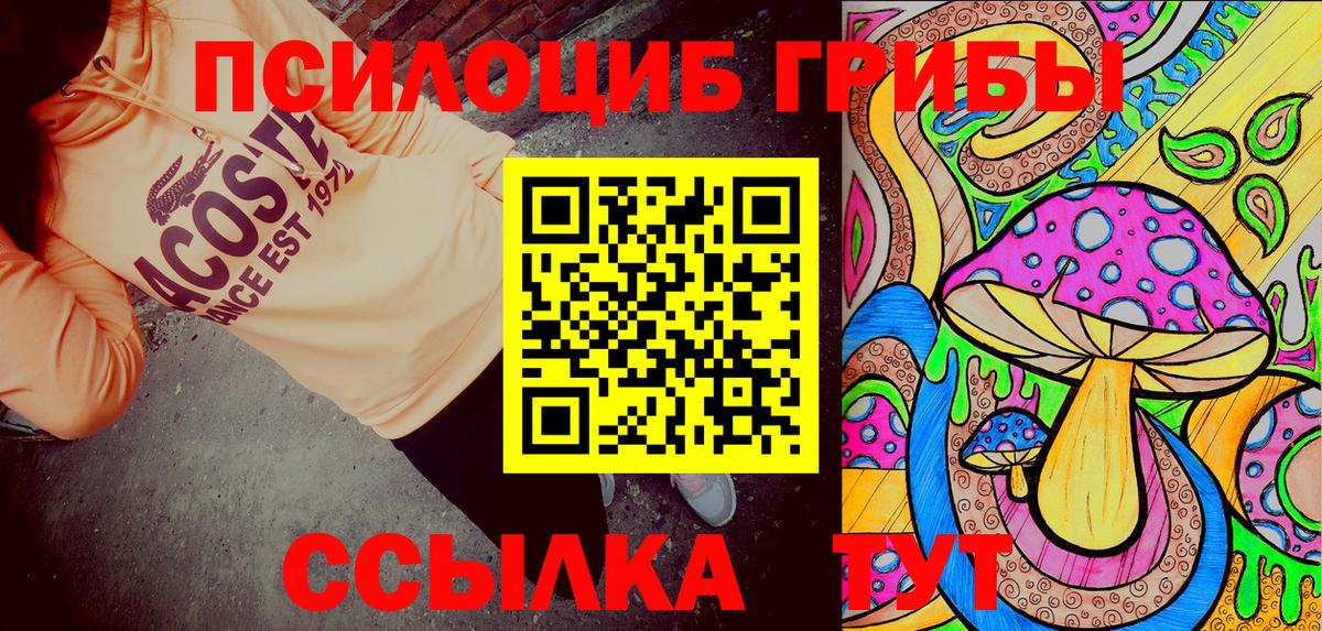 Галлюциногенные грибы Psilocybine cubensis Хабаровск