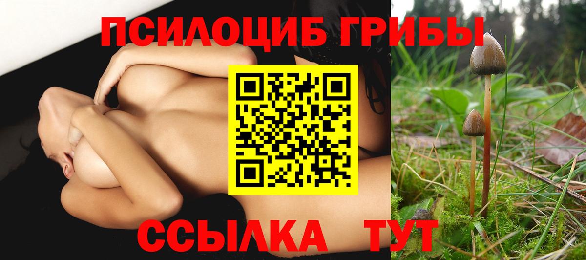Хабаровск  где найти   Вход с VPN  Псилоцибиновые грибы GOLDEN TEACHER 